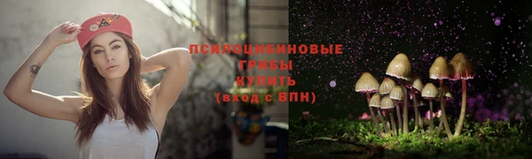 гидропоника Зеленодольск
